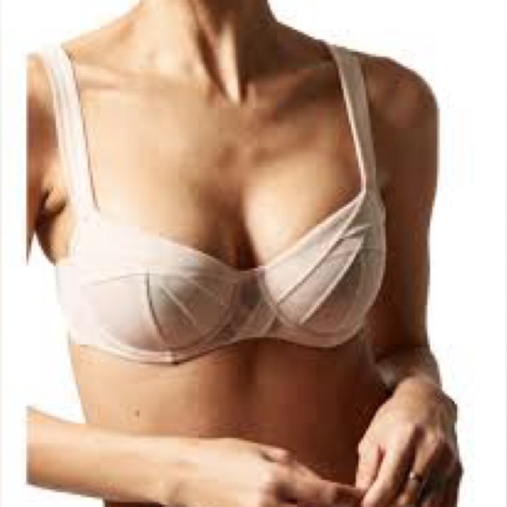 Chantal Thomass  Mesh Bra Size 34DD